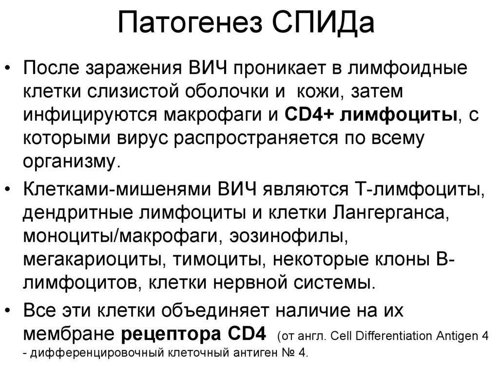 Схема патогенеза вич