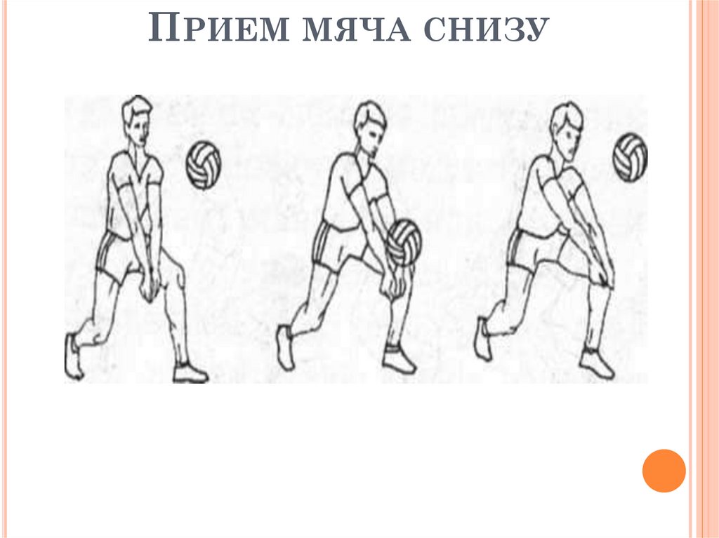 Прием мяча снизу одной рукой. Прием мяча снизу. Техника приема мяча снизу в волейболе. Нижний прием мяча в волейболе техника. Нижняя передача мяча в волейболе.