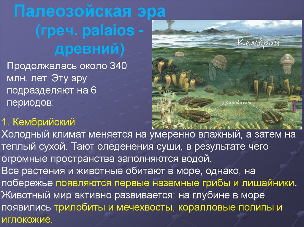 Презентация 9 класс жизнь в палеозойскую эру