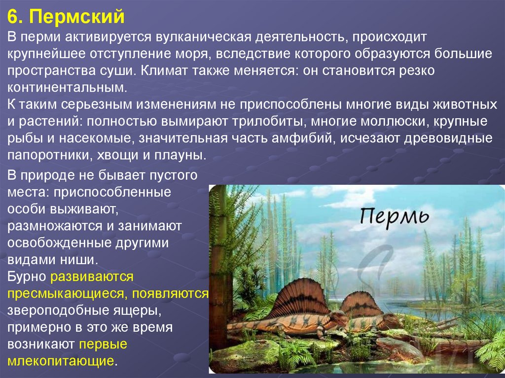 Развитие жизни на земле. Развитие жизни на земле 11 класс презентация.