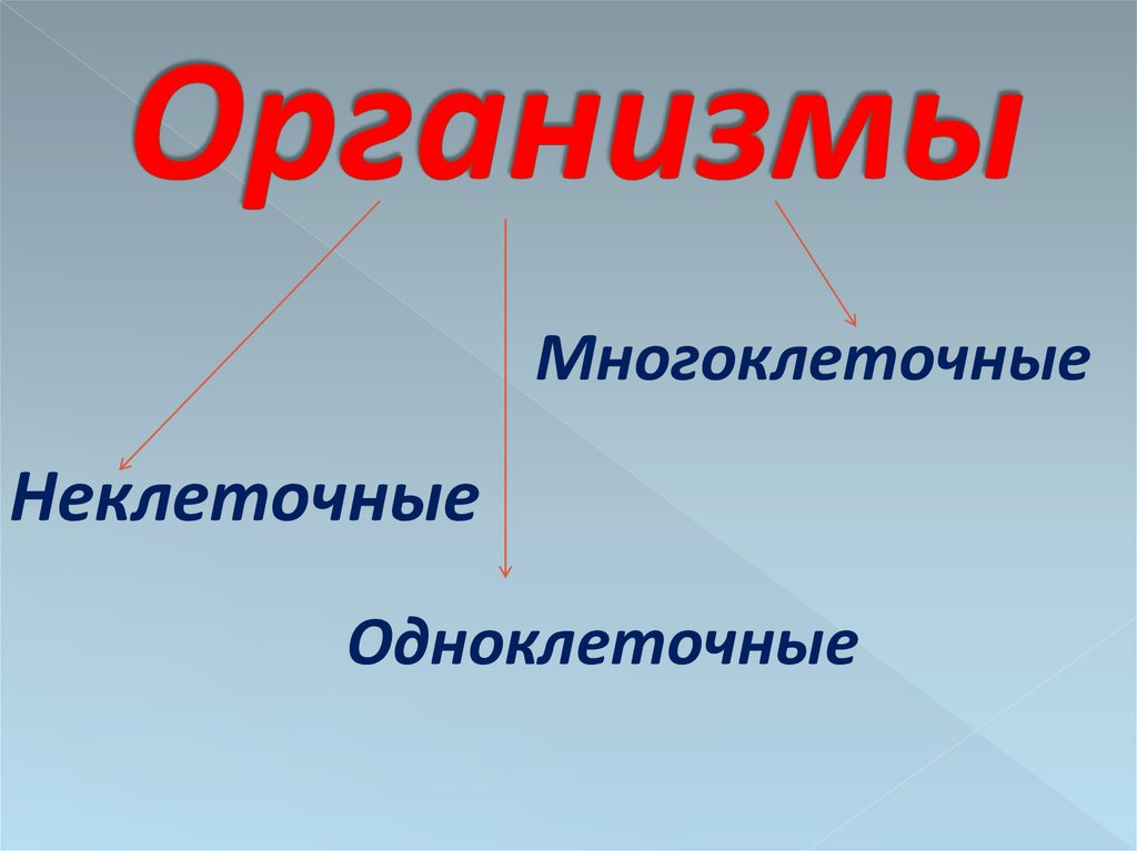 Организмы