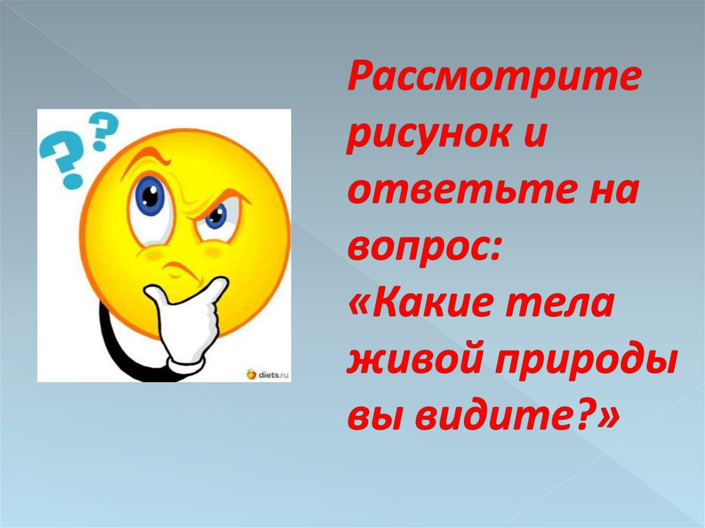 Рассмотрите внимательно рисунки ответьте на вопросы