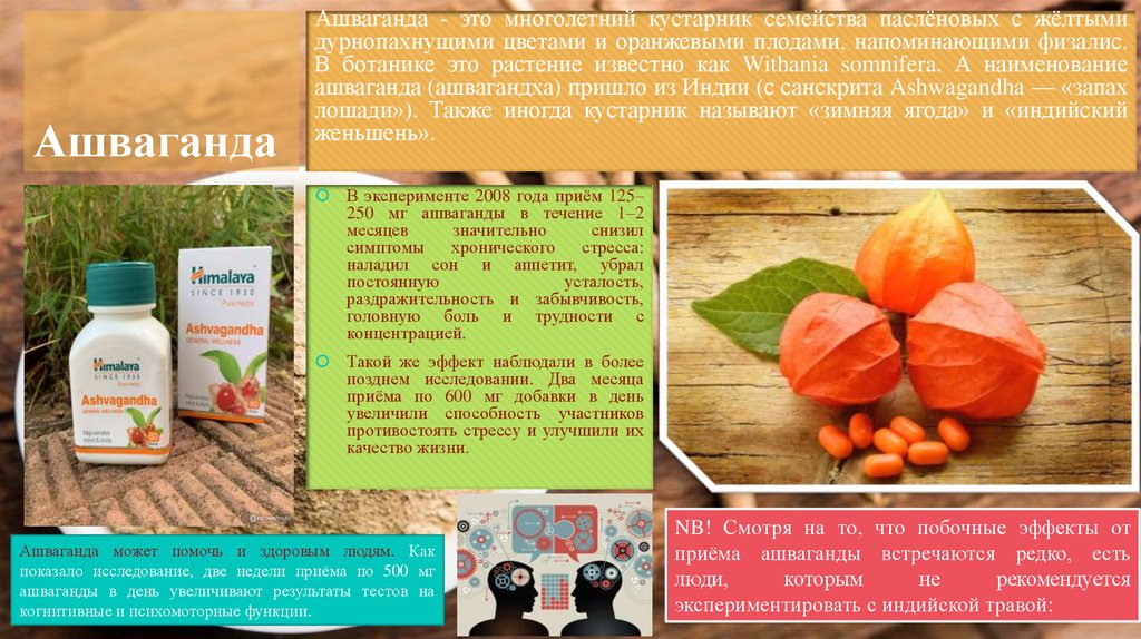 Растительные адаптогены - презентация онлайн