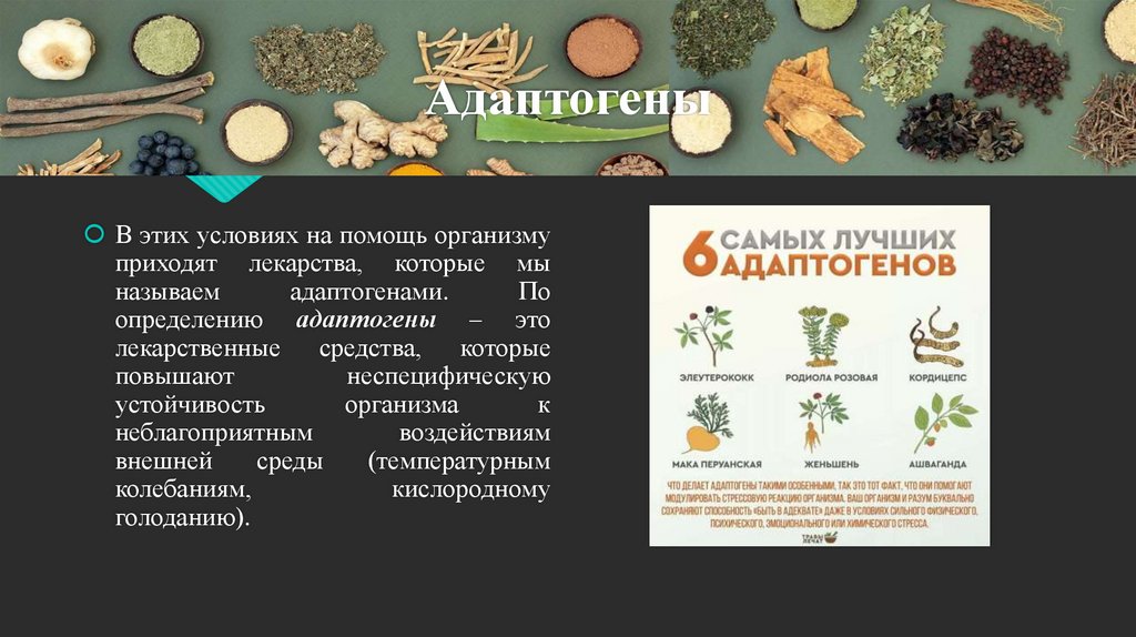 Растительные адаптогены - презентация онлайн