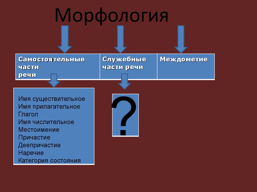 Морфология самостоятельные и служебные части речи