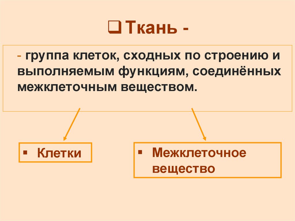 Клетки сходны по строению выполняемые. Группа клеток сходных по строению и выполняемым функциям. Группу клеток сходного. Межклеточное вещество это в биологии 5 класс. Клетки сходные по строению и выполняемым функциям образуют.