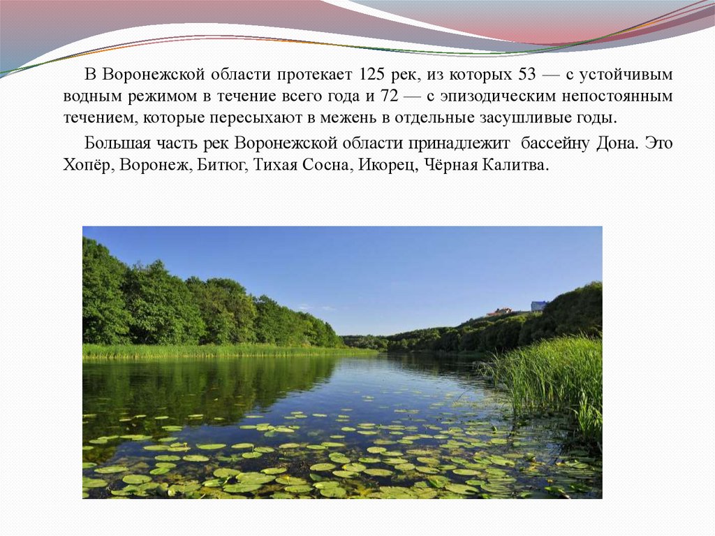 Карта реки Дон в Воронежской области: места для рыбалки и отдыха