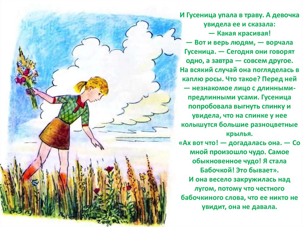 Честное гусеничное. Вопросы по рассказу честное гусеничное. Честное гусеничное Берестов читать. Берестов честное гусеничное диафильм.