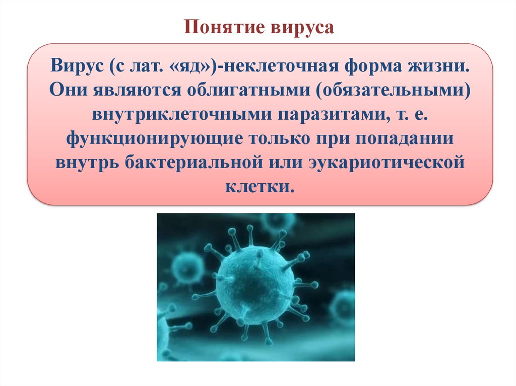 Вирус является формой жизни