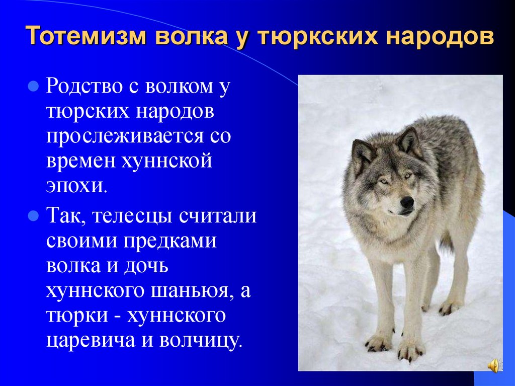 Тотемизм волка у тюркских народов