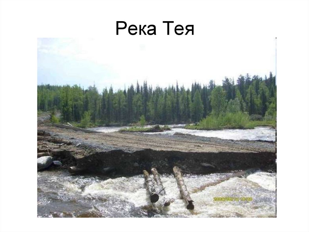Река Тея