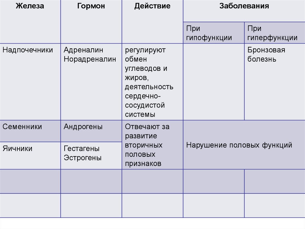 Гормоны проект 9 класс