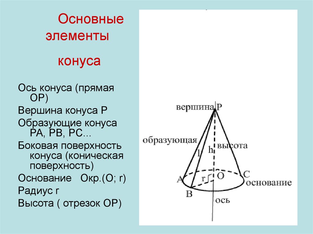 Что значит образующая