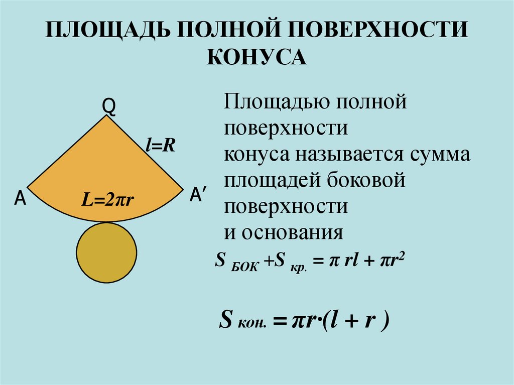 Площадь конуса