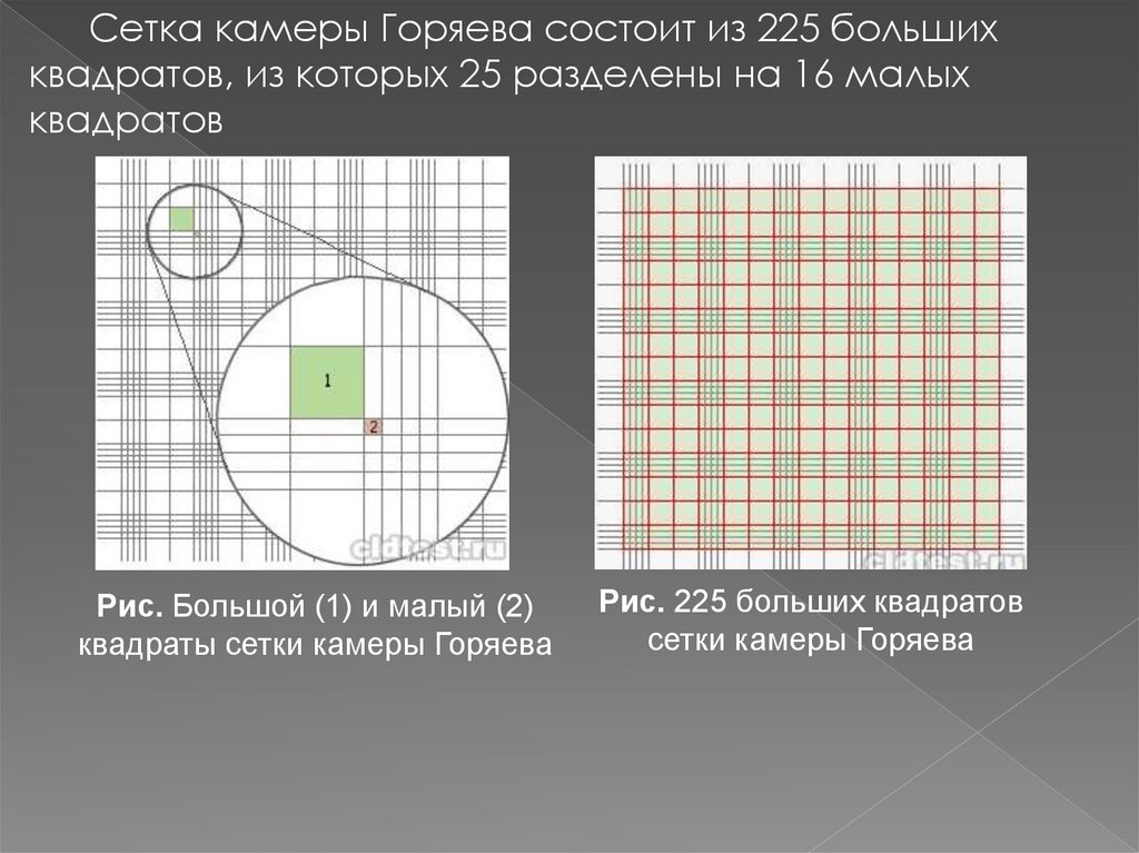 Матрица горяева что это такое простыми словами. Камера Горяева 2-х сеточная. Сетка Горяева. Сетка камеры Горяева.