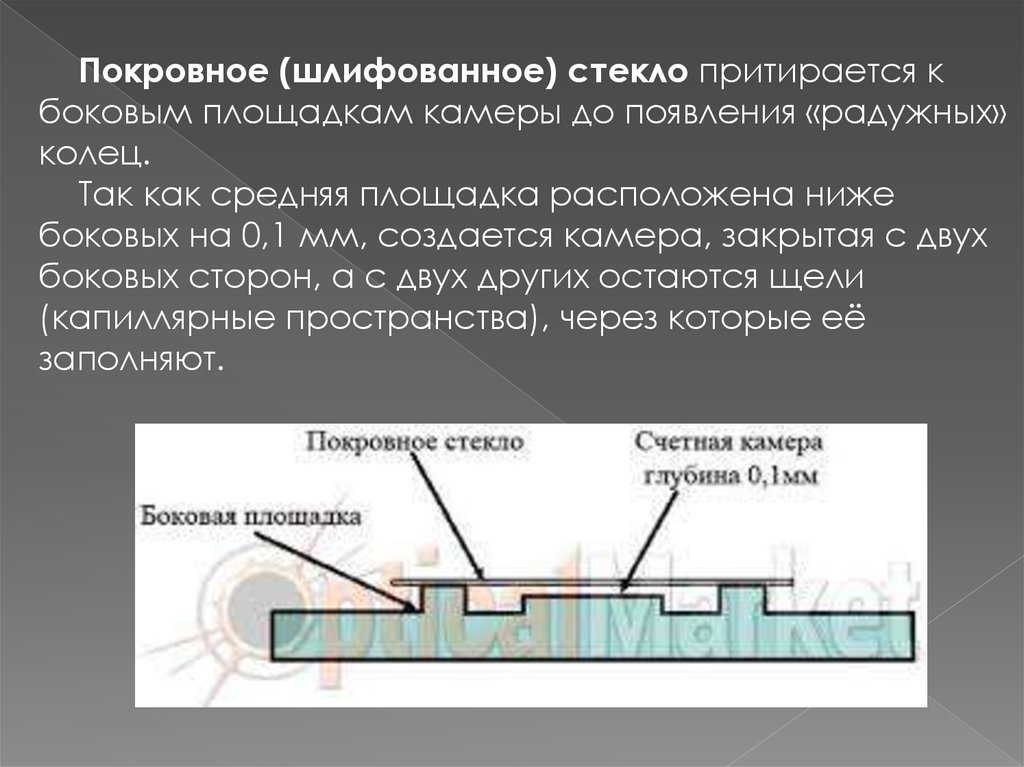 Матрица горяева вес. Камера Горяева. Камера Горяева 2-х сеточная, исполнение 3. Камера Горяева фото. Радужные кольца на камере Горяева.