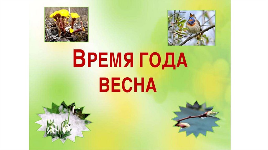 Презентация весна 2 младшая группа