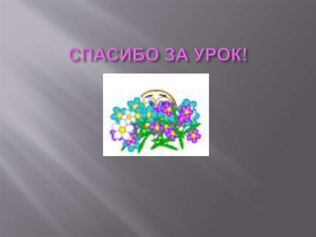 СПАСИБО ЗА УРОК!