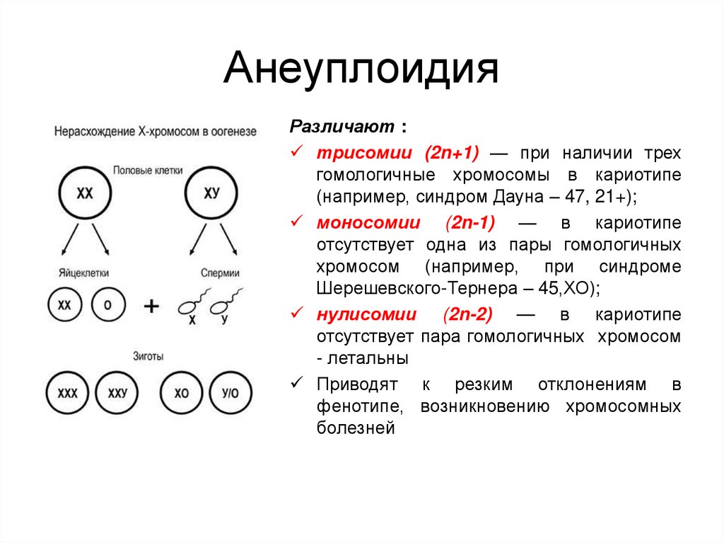 Анеуплоидия по аутосомам