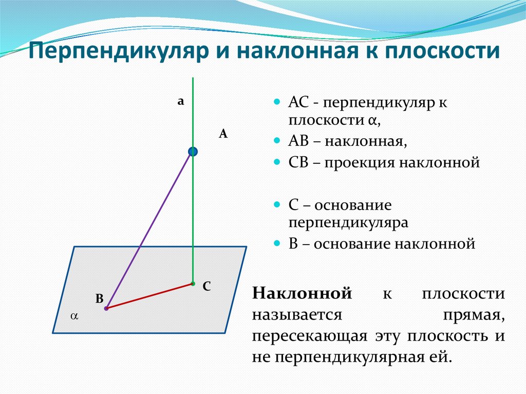 Объясните какой отрезок называется перпендикуляром