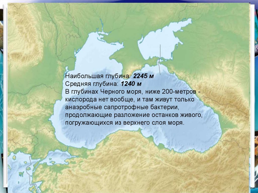 Глубина черного средняя и максимальная. Максимальная глубина черного моря. Средняя глубина черного моря. Наибольшая глубина черного моря. Черное море максимальная глубина моря.