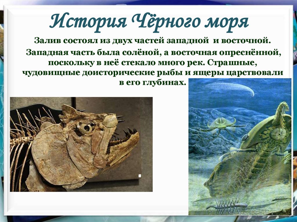 У черного моря окружающий мир 4 класс. История черного моря. Черное море презентация. Презентация по теме черное море. Рассказ о черном море.