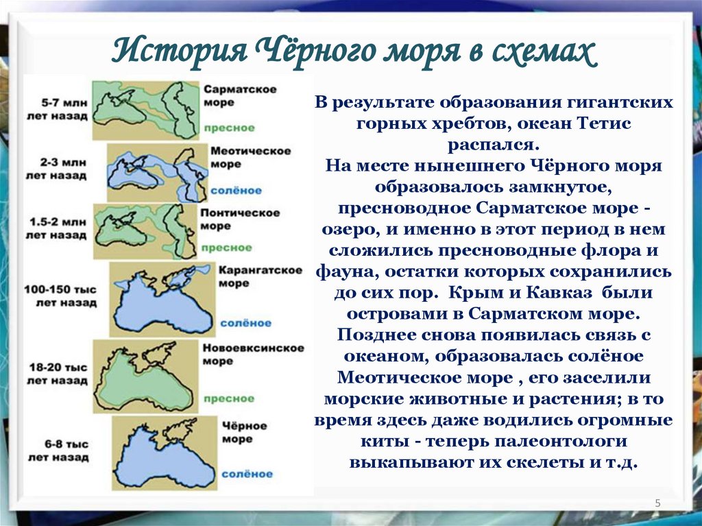 Схема черного моря. Океан Тетис и чёрное море. История черного моря в схемах. Образование черного моря. История образования черного моря.