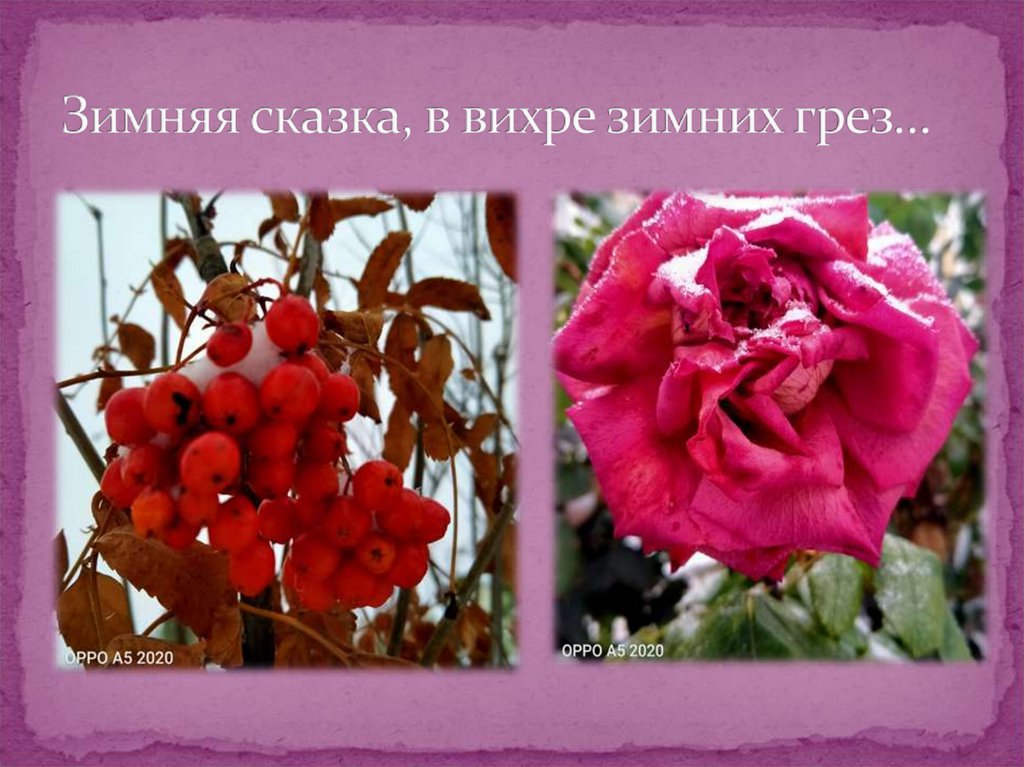 Зимняя сказка, в вихре зимних грез…