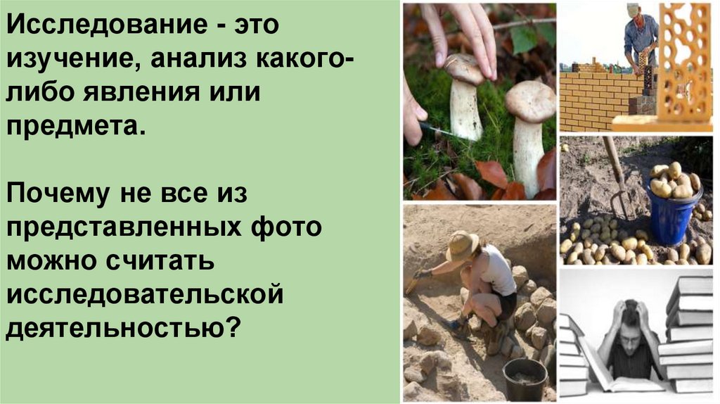 Исследовательская работа - презентация онлайн