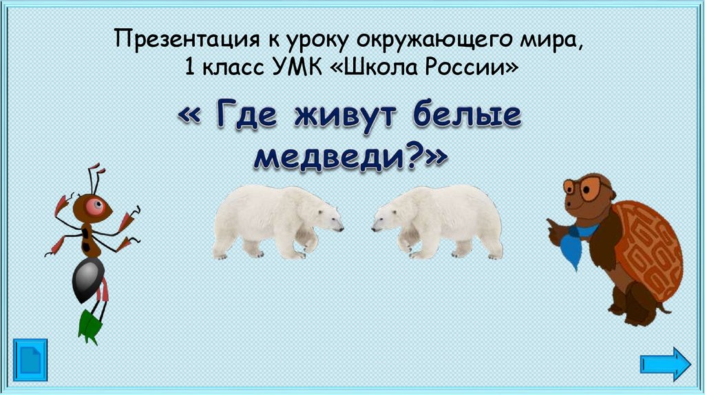 Где живут белые медведи презентация 1 класс окружающий мир плешаков