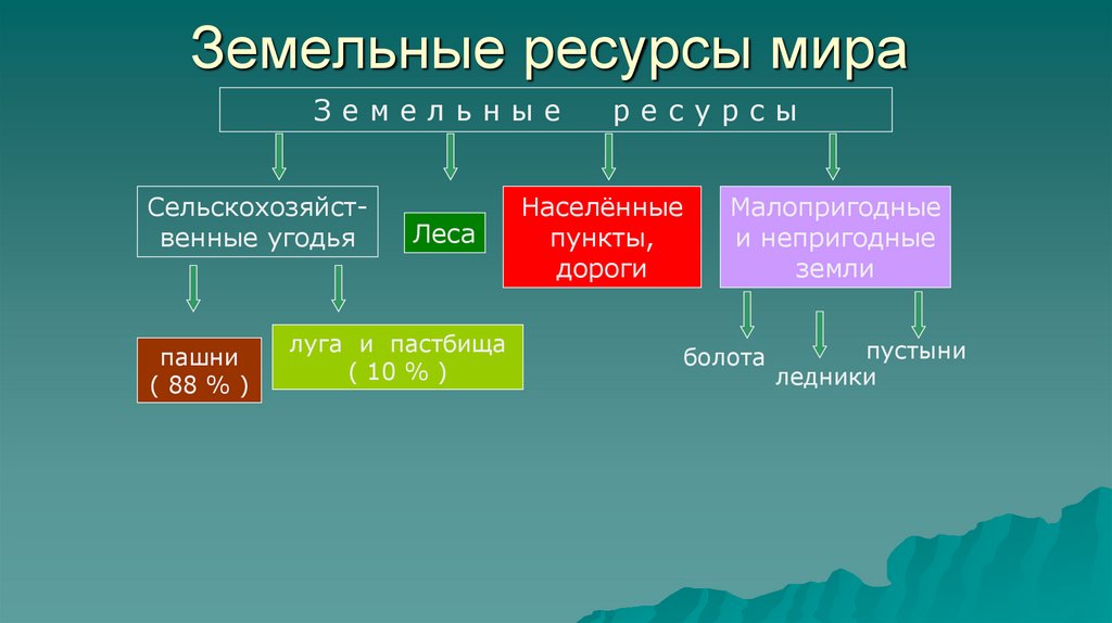 География 10 класс презентация лесные ресурсы мира