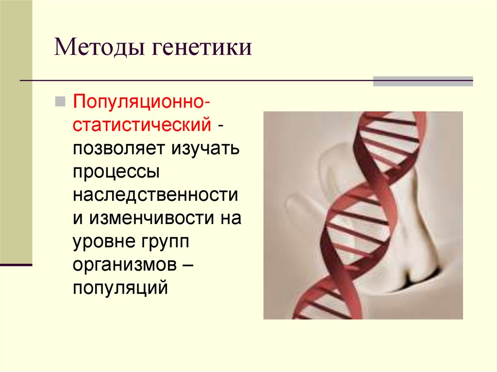 Популяционно статистический метод генетики презентация