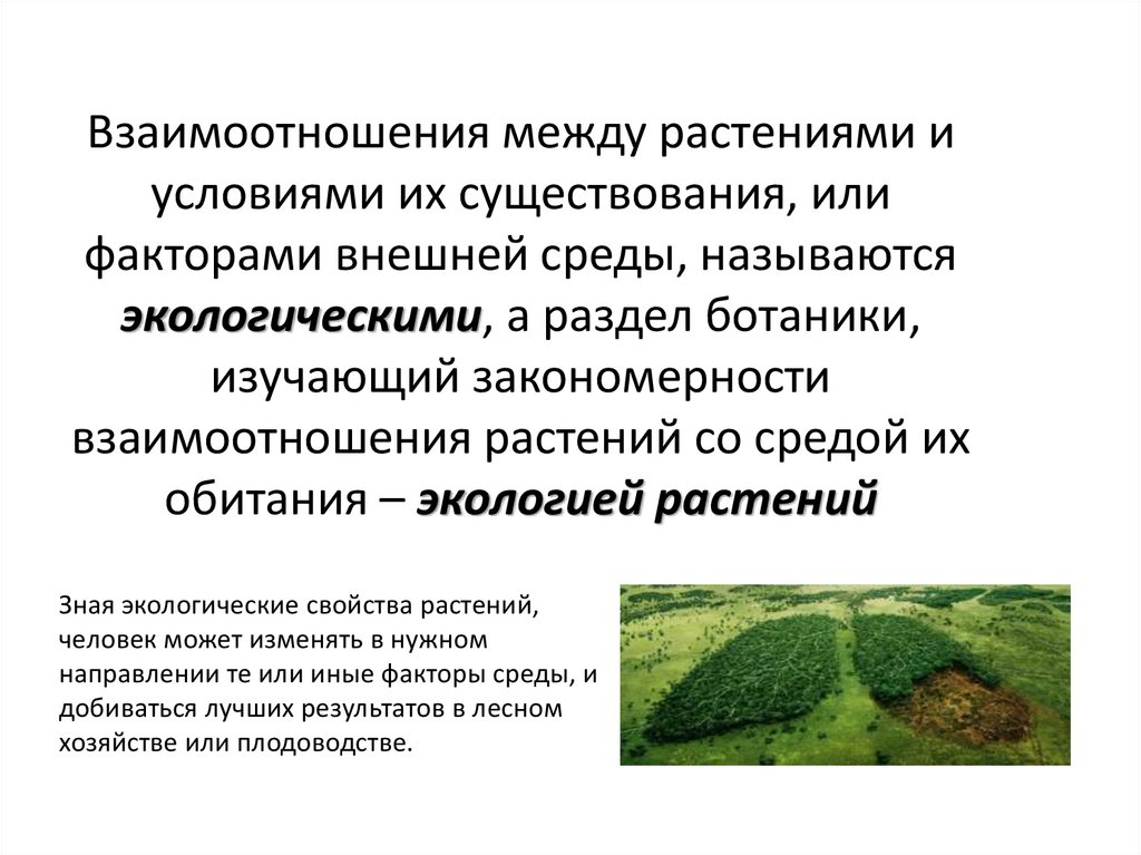 Экологическое описание древесных растений. Внешние особенности древесных растений. Общие признаки древесных растений. Биоэкологические особенности это.