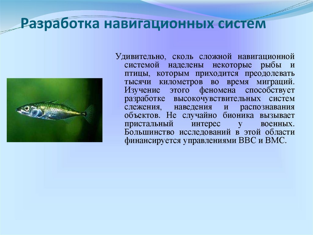 Разработка навигационных систем