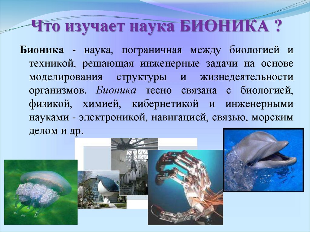 Что изучает наука БИОНИКА ?