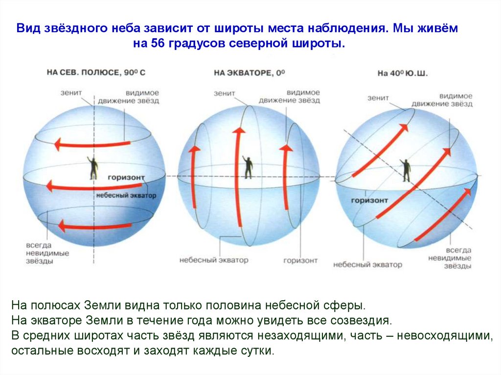 В северном полушарии можно увидеть. Широта места наблюдения. Вид небесной сферы на экваторе. Широта места наблюдателя. Вид небесной сферы на Северном полюсе.