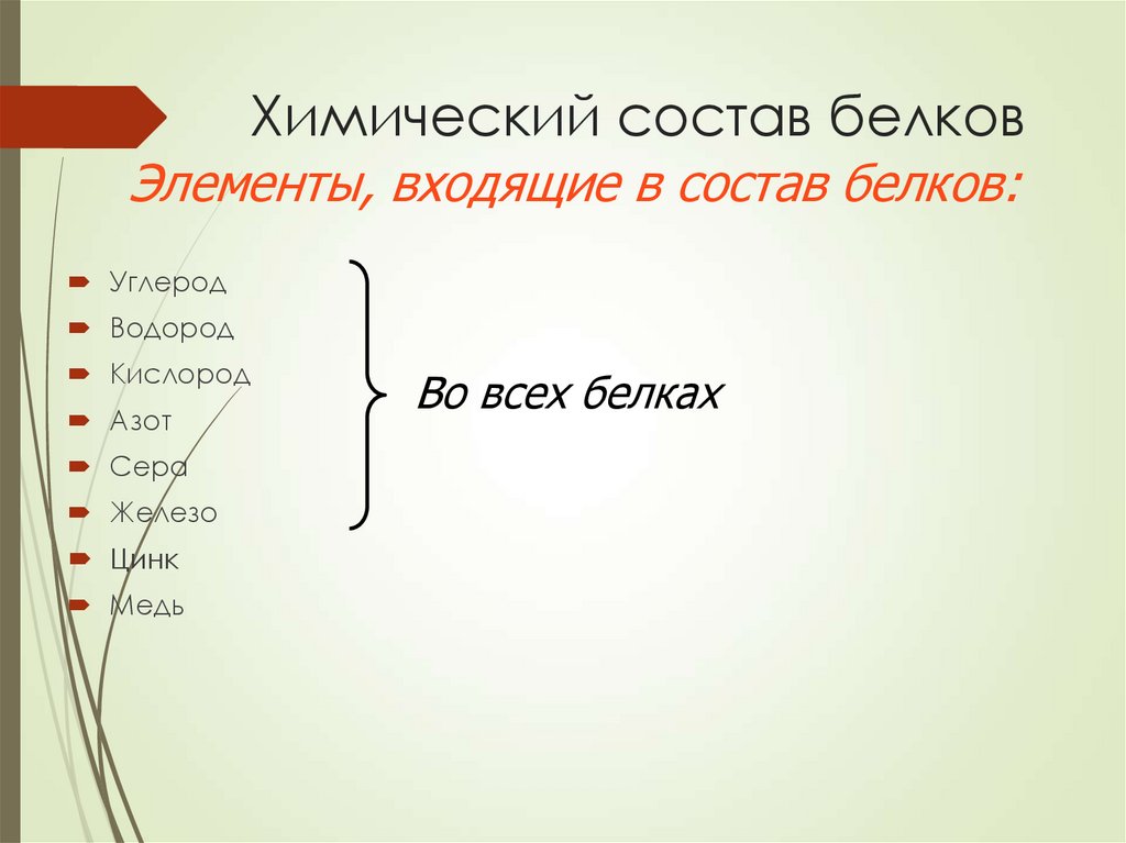 Белочка по составу