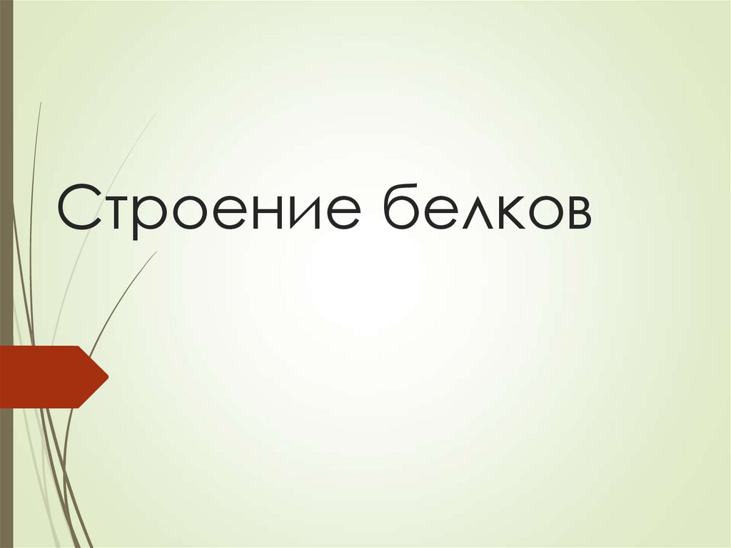 Строение белков