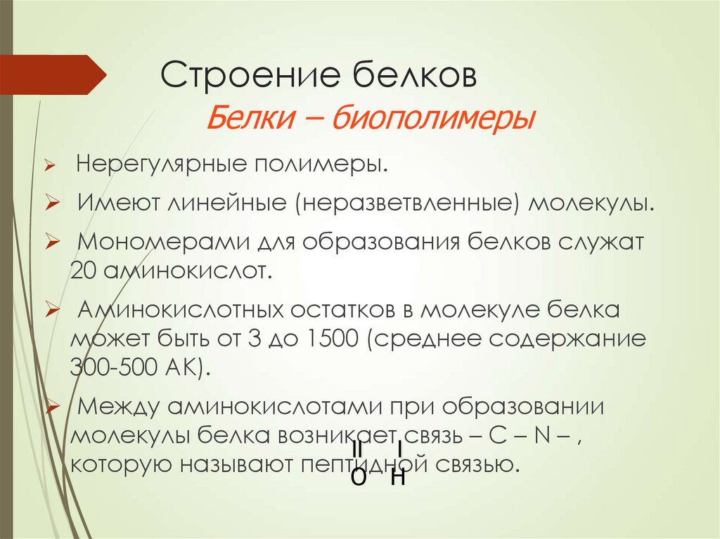 Строение белков