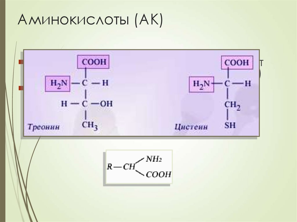 Аминокислоты (АК)
