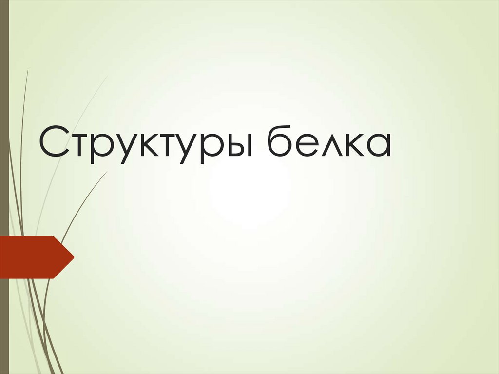 Структуры белка