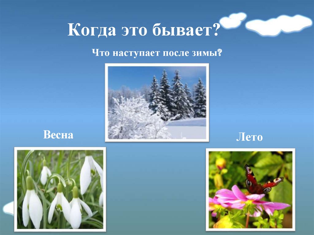 Что после зимы. После зимы наступает Весна. Времена года после зимы. Викторина времена года. Что идет после зимы.