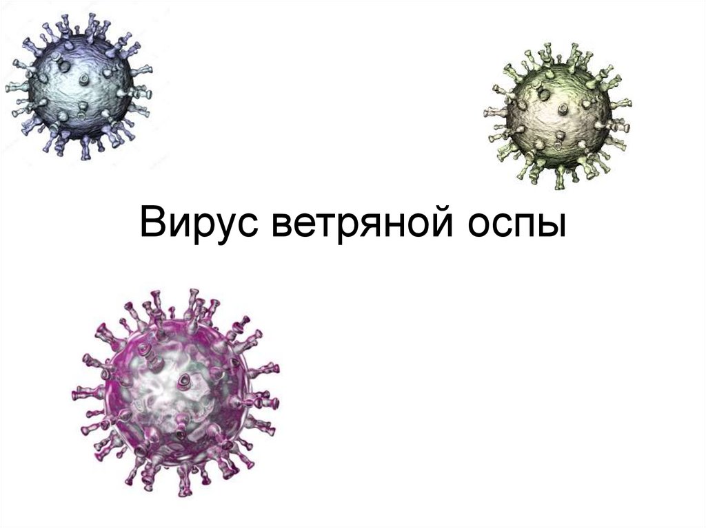 Ветряная оспа картинки для презентации