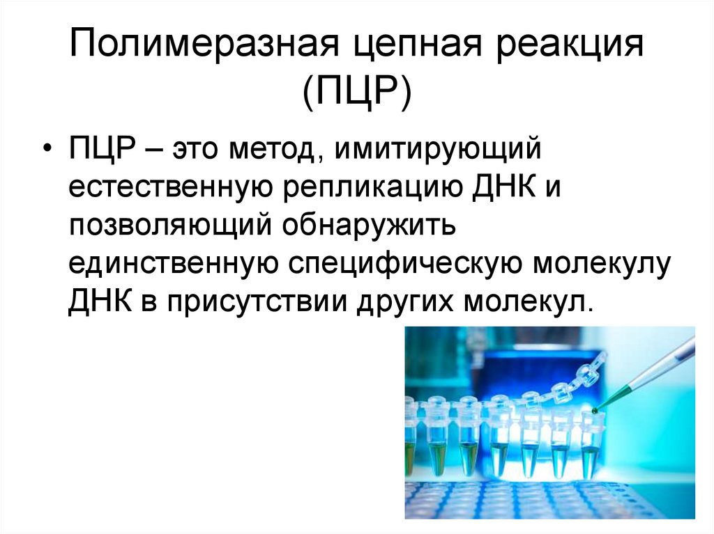 Полимеразная цепная реакция (ПЦР)