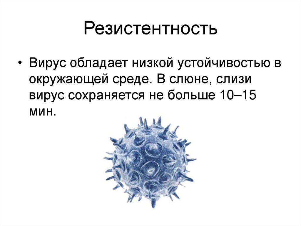 Varicella zoster virus igg