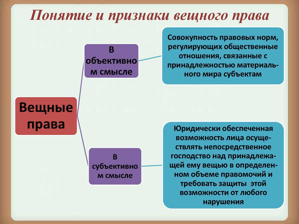 Положение в праве это