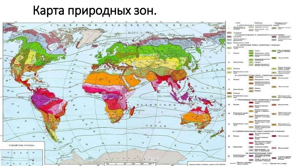 Географические зоны на карте. Природные зоны материков.