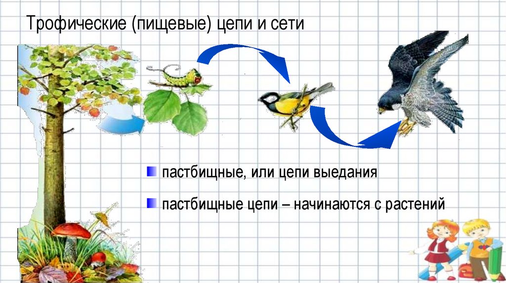 Цепочка начата. Цепи выедания пастбищные начинаются. Цепи выедания начинаются с растений. Пастбищная пищевая цепь начинается с. Кроссворд на тему биоценоз.