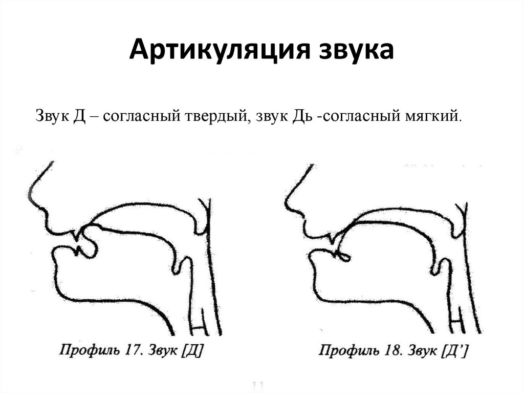 Профили звуков в картинках с описанием