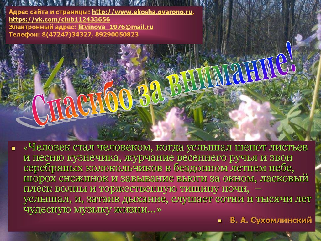 Человеку посчастливилось слышать шепот листьев и песню. Экологическая квест игра по страницам красной книги.